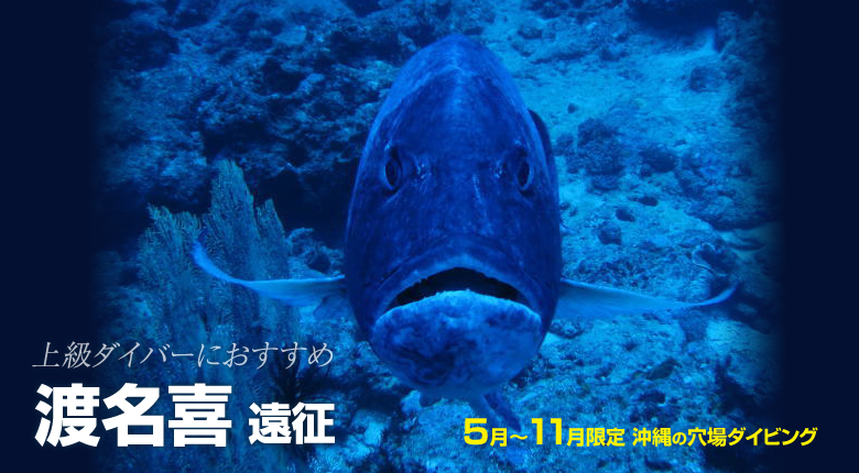 DRISTA 沖縄の穴場ダイビング 中級・上級ダイバーにおすすめ 渡名喜へ遠征