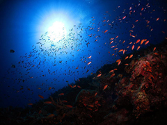 渡名喜 五六ノ崎