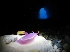 渡名喜 島尻崎ホール