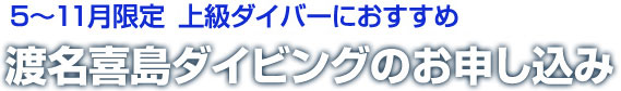 中級・上級ダイバーにおすすめ 5～11月限定 渡名喜遠征ダイビングのお申し込み
