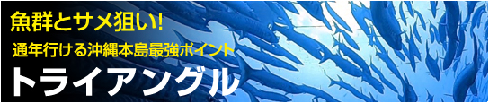 通年行ける沖縄最強スポット トライアングル