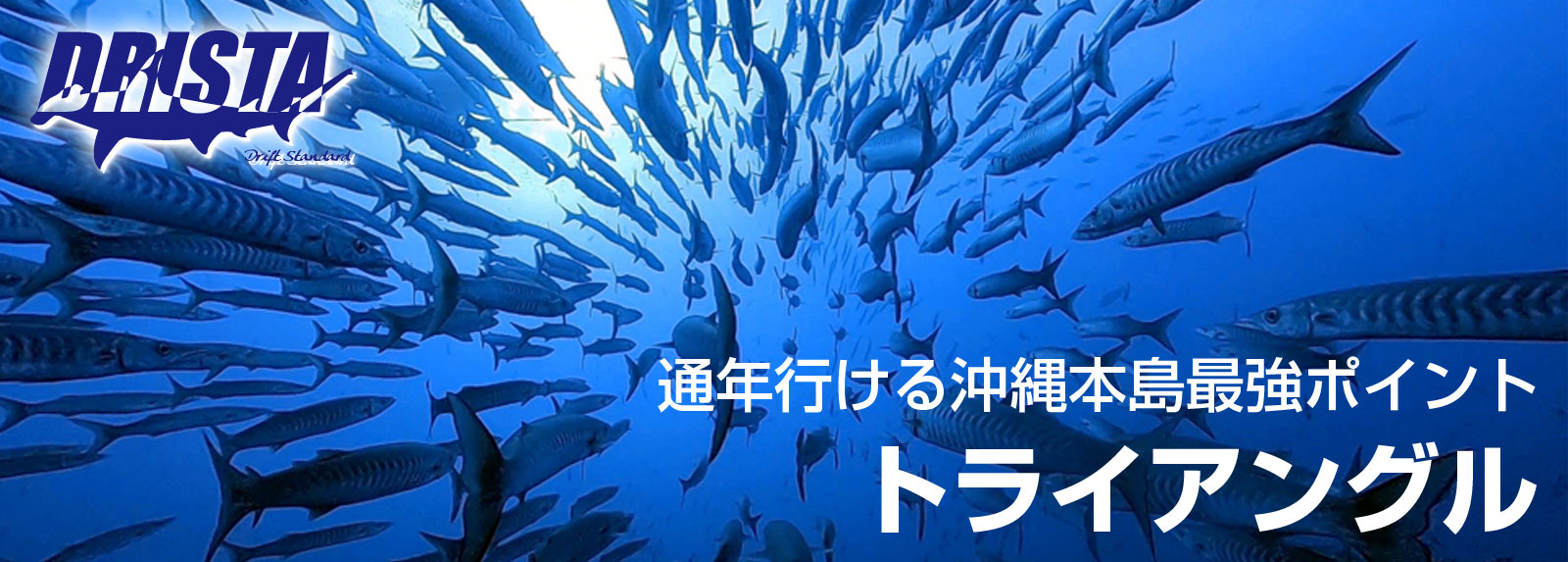 通年行ける沖縄本島最強ポイント トライアングル
