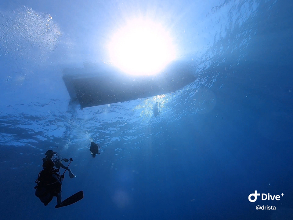 ブルーウォーターで大物捜索は楽しい