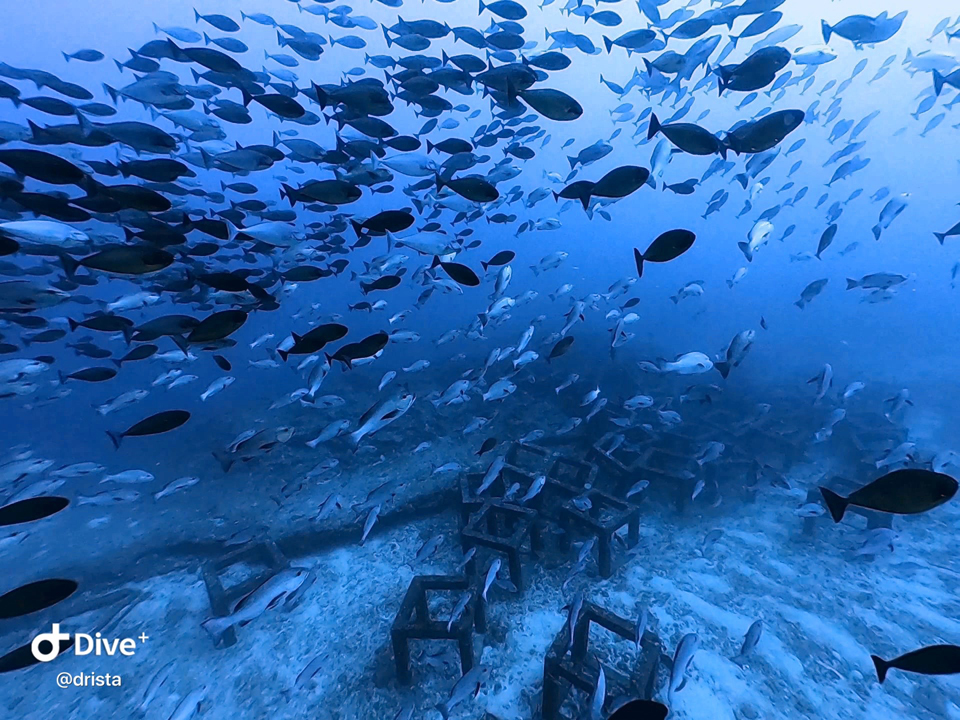 漁礁回りが最も熱い大物出没ゾーン